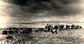 'וערה 1937.JPG