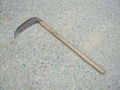 .Jjapanese-sickle-kama,katori-city,japan.JPG