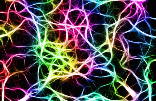 Il ruolo dei neuroni mirror nella cognizione sociale Il ruolo dei neuroni mirror nella cognizione sociale