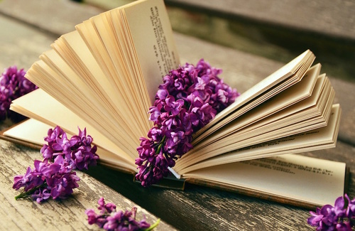 Libri sulla meditazione: i nostri suggerimenti Libri sulla meditazione: i nostri suggerimenti