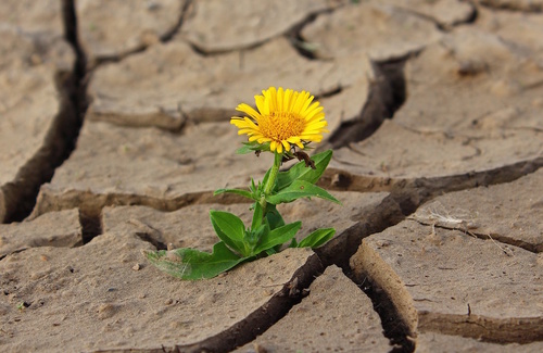 Solitudine interiore e meditazione Solitudine interiore e meditazione