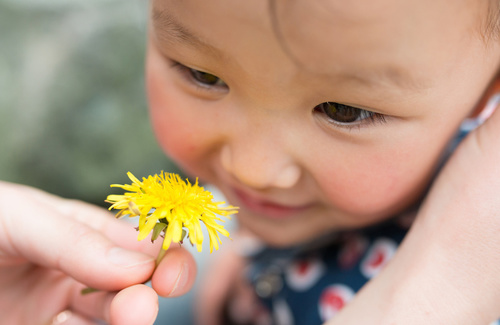 Timidezza del bambino, cosa fare? Timidezza del bambino, cosa fare?
