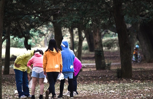 La funzione del branco nell'adolescenza La funzione del branco nell'adolescenza