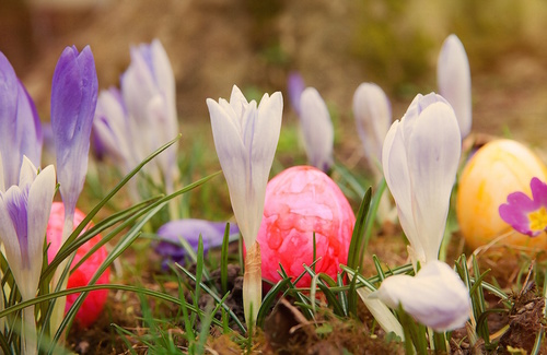 La Pasqua: momento di rinnovamento La Pasqua: momento di rinnovamento