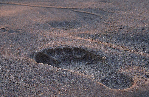 Meditazione camminata: benefici e come si pratica Meditazione camminata: benefici e come si pratica