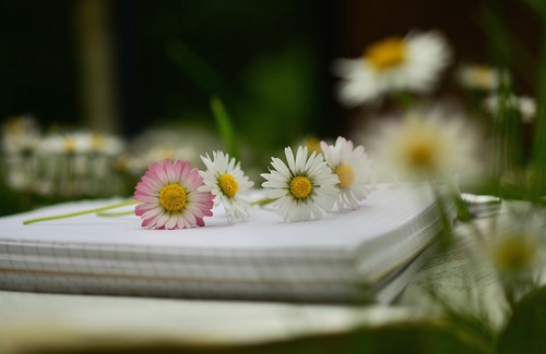 La meditazione migliora l’apprendimento La meditazione migliora l’apprendimento