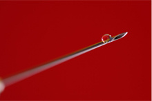 La dipendenza dalla droga e i sintomi dell’intossicazione La dipendenza dalla droga e i sintomi dell’intossicazione