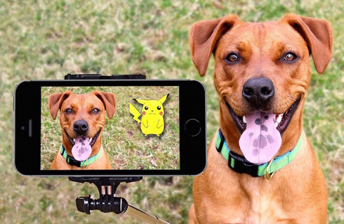 Pokemon Go: la nuova mania tra rischi e benefici Pokemon Go: la nuova mania tra rischi e benefici