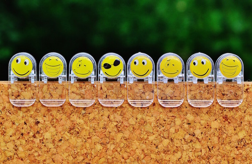Denominare le emozioni: gli effetti sul cervello Denominare le emozioni: gli effetti sul cervello