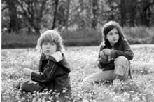 La gelosia tra fratelli La gelosia tra fratelli