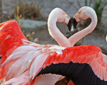 Un amore sano: cos'è e come si costruisce Un amore sano: cos'è e come si costruisce