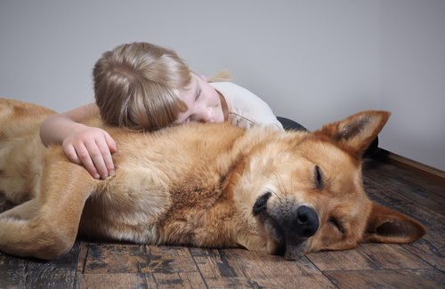 L'intesa con Fido è vera empatia? L'intesa con Fido è vera empatia?