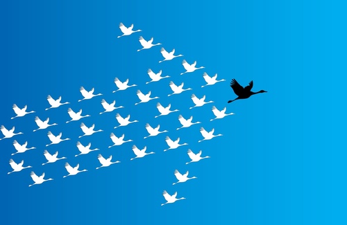 Come il leader può influenzare l'andamento del gruppo Come il leader può influenzare l'andamento del gruppo