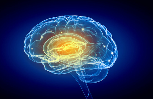 Quoziente intellettivo medio, difficoltà ed eccellenza Quoziente intellettivo medio, difficoltà ed eccellenza