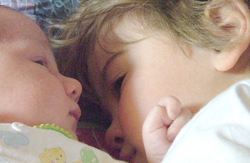Gelosia tra fratelli: un sentimento "utile" allo sviluppo del bambino Gelosia tra fratelli: un sentimento "utile" allo sviluppo del bambino