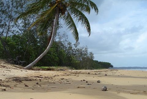 Psicologia del turismo alternativo: le motivazioni dell'ecoturismo Psicologia del turismo alternativo: le motivazioni dell'ecoturismo