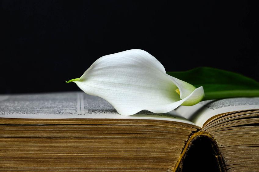 Libri per affrontare un lutto Libri per affrontare un lutto