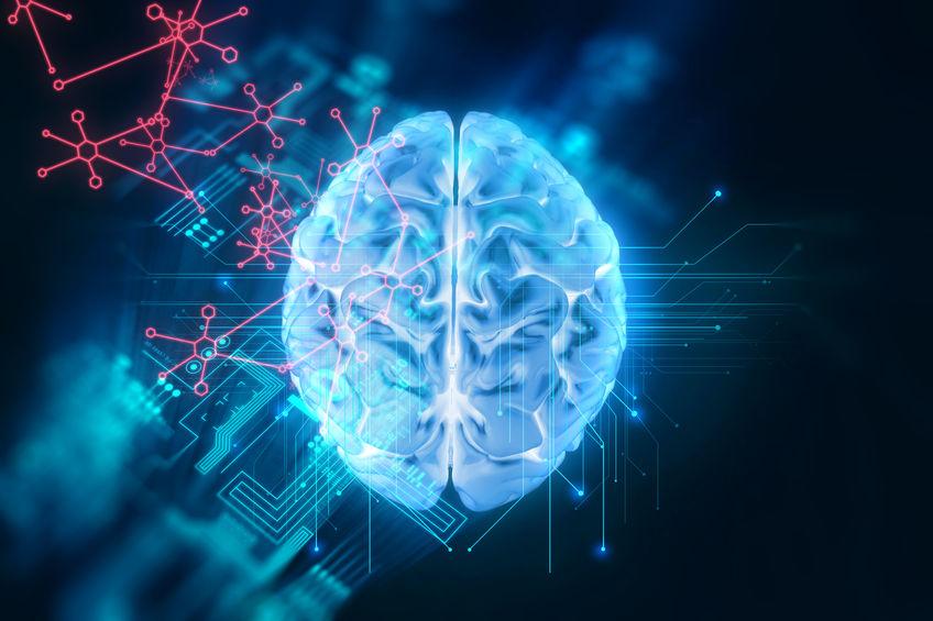 Neuroplasticità Neuroplasticità