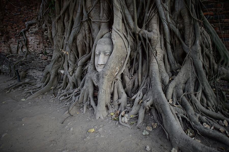 pareidolia-paranormale pareidolia-paranormale