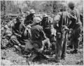 "Group of CBs acting as stretcher bearers for the 7th Marines. Peleliu.", 09-1944 - NARA - 532537.tif