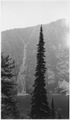 "Glacier Lake" - NARA - 293345.tif