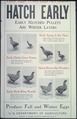 "Have Eggs When Eggs Are Scarce. Hatch Early...Produce Fall and Winter Eggs." - NARA - 512545.tif
