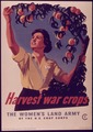 "Harvest War Crops, The Women's Land Army" - NARA - 514440.tif
