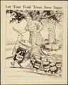 "Let Your Fruit Trees Save Sugar.", ca. 1917 - ca. 1919 - NARA - 512514.tif